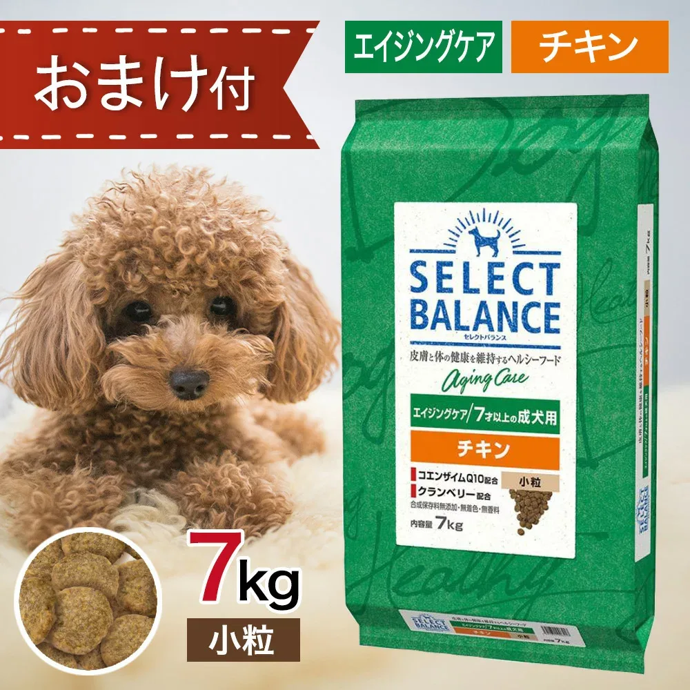 【要エントリー抽選で最大100%ポイントバック!】 セレクトバランス エイジングケア チキン 小粒 7kg ペットフード おやつ & おまけ 付き ドッグフード 餌 エサ 犬 7才 以上 成犬 高齢犬 シニア 低脂肪 低カロリー 関節 腸内環境 シニアチキン 7キロ