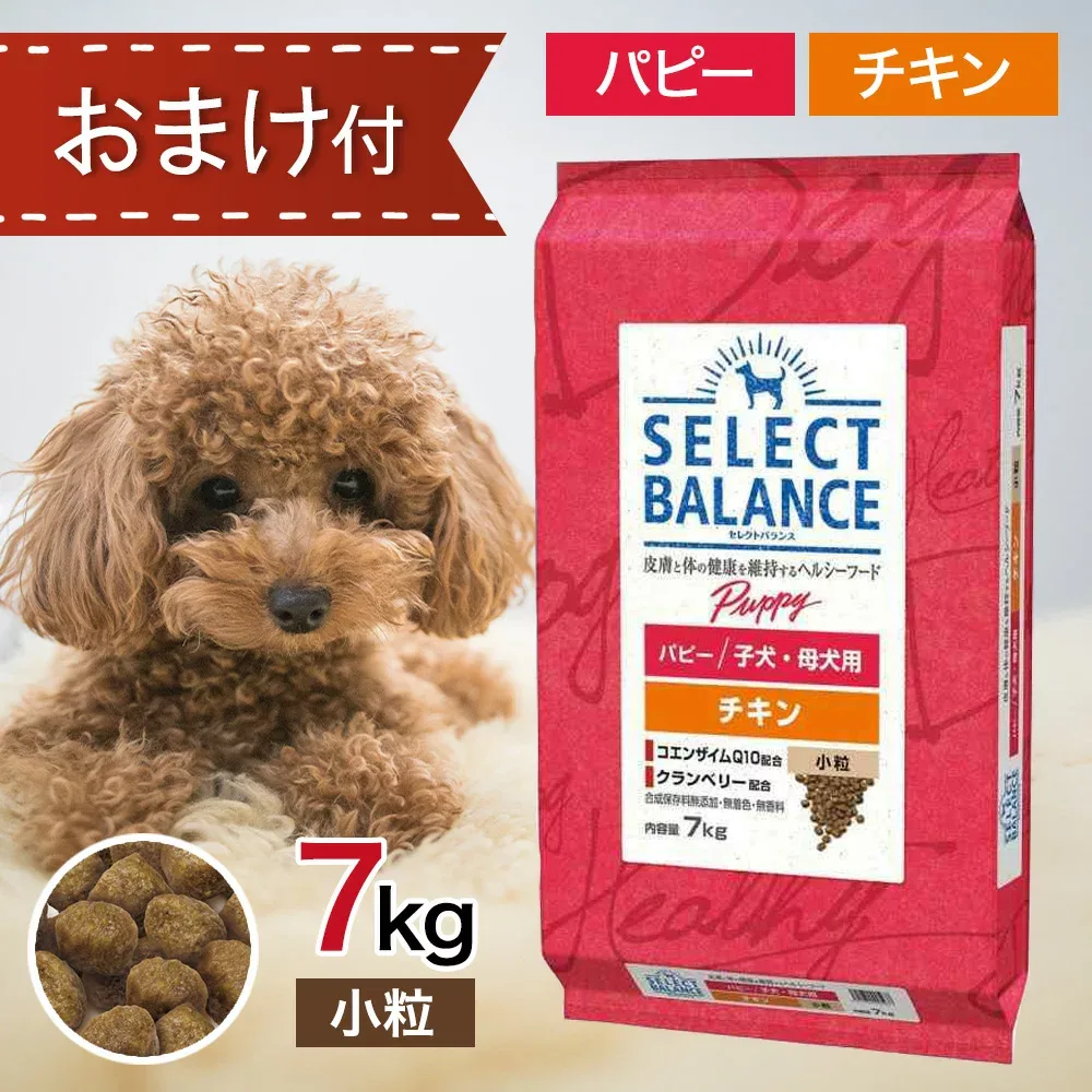 【要エントリー抽選で最大100%ポイントバック!】 セレクトバランス パピー チキン 小粒 7kg ペットフード おやつ & おまけ 付き ドッグフード 餌 エサ 犬 1才 未満 子犬 仔犬 発育 妊娠 授乳期 母犬 被毛 尿路 健康 免疫力 腸内環境 無添加 無着色 7キロ