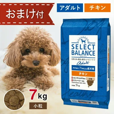【要エントリー抽選で最大100%ポイントバック!】 セレクトバランス アダルト チキン 小粒 7kg ペットフード おやつ & おまけ 付き ドッグフード 餌 エサ 犬 1歳以上 成犬 低脂肪 低カロリー 皮膚 被毛 関節 健康 免疫力 腸内環境 無添加 無着色 7キロ