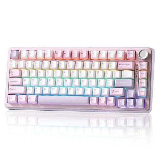 YUNZII B75 PRO 75% ガスケットゲーミングキーボード 無線メカニカルキーボード BT/2.4G/有線 ワイヤレス ホットスワップ 搭載 RGB ノブ付きカスタムキーボード MAC/WIN用 技適認証取得 (紫, ココア…