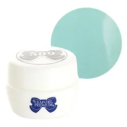 LEAFGEL PREMIUM リーフジェルプレミアム ジェルネイル カラージェル 4g #064 レーヴ・ジャッド 【ネコポス対応】 ネイル用品の専門店