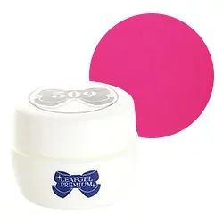 LEAFGEL PREMIUM リーフジェルプレミアム ジェルネイル カラージェル 4g #163 プルミエ・エムワ・ドゥ・ラムール 【ネコポス対応】 ネイル用品の専門店