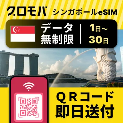 シンガポールeSIM 無制限 【 選べるプラン! 1日 2日 3日 4日 5日 7日 10日 15日 20日 30日 データ無制限 】 シンガポール eSIM イーシム データ通信 無制限 使い放題 留学 旅行 出張 3G 4G 5G iphone android