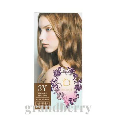 【国内正規品】資生堂 ベネフィーク ヘアカラー 3Y(黄味のある明るい栗色)※B
