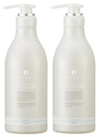 《2本セット・送料無料》〔デミ〕フローディア シャンプー スプリングリフトa 550mL ボトル