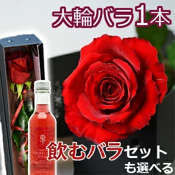 大輪 バラ 花束 1本 一輪BOX 薔薇 誕生日 プレゼント ギフト 結婚記念日 妻 ホワイトデー 卒業祝い プロポーズ 結婚祝い 還暦祝い お礼 ボックス 一本 1輪 箱入り 両親 ソフトドリンク ノンアルコール サイダー さ姫スパークリングローズ エディブルフラワー