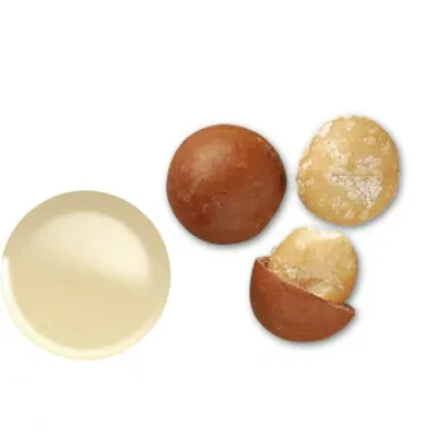 生活の木/マカデミアナッツオイル 60mL/12-401-7120【01】 キャンドル、アロマ アロマ キャリアオイル(植物油) インテリア フレグランス おしゃれ かわいい