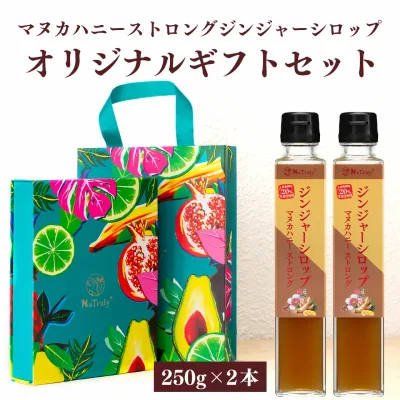 ギフト 健康ギフト 贈り物 熨斗対応 オリジナルギフトBOX しょうが ジンジャーシロップ ギフトセット マヌカハニーストロング 瓶 250g×2個 生姜 ジンジャーハニー 生姜蜂蜜 生姜湯 プレゼント 女性 親 両親 母の日 父の日 のし対応