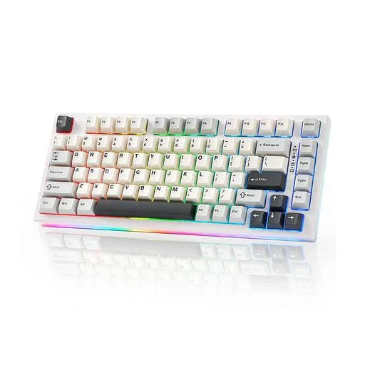 YUNZII YZ75 75% ホットスワップ対応ワイヤレスゲーミングキーボード RGBバックライト BT5.0/2.4G/USB-C、Dye Sub PBTキーキャップ Linux/Win/Mac用 技適認証取得(Gateron G Pro
