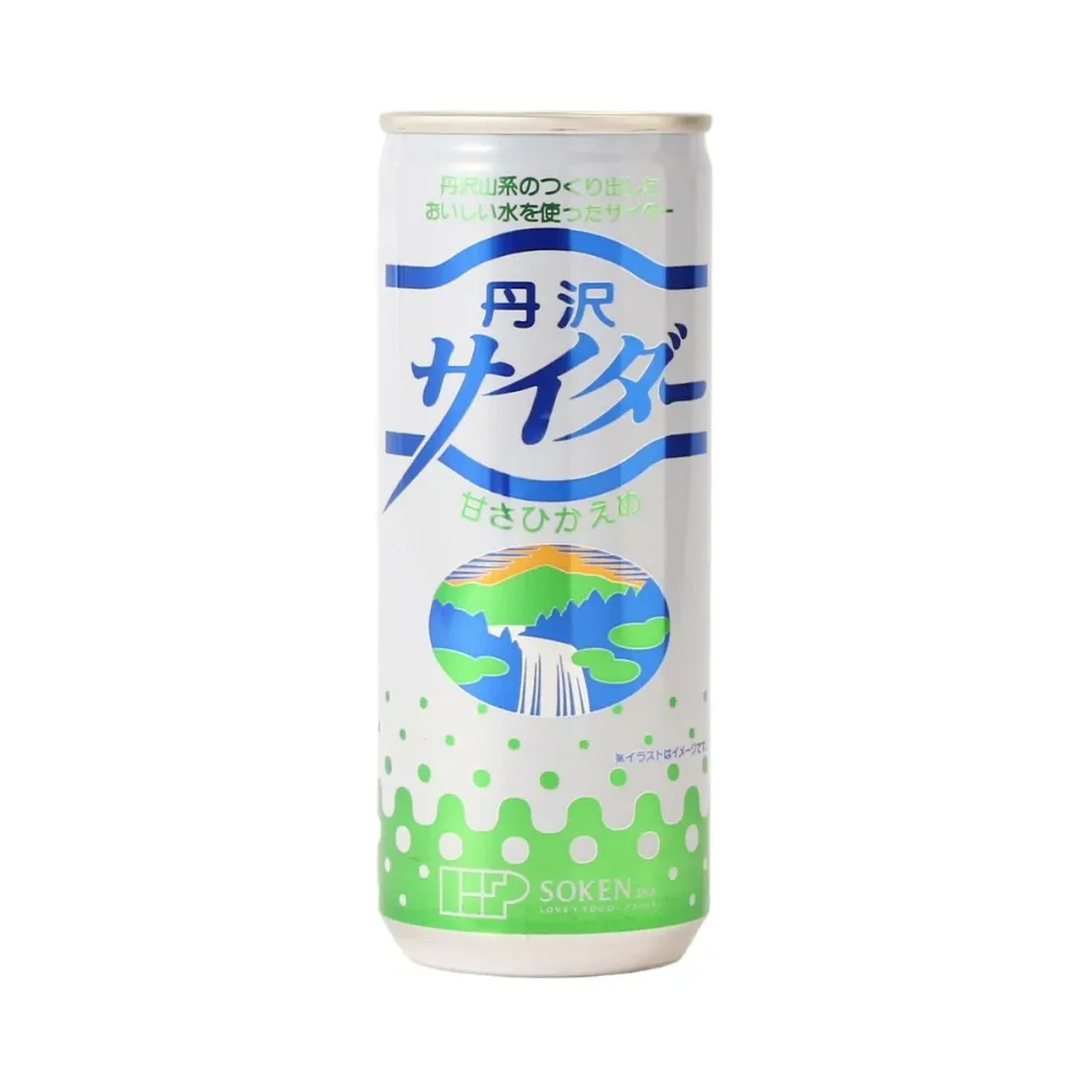 【創健社】丹沢サイダー 甘さひかえめ 250ml / 国産 ジュース 神奈川県 丹沢 甘さひかえめ サイダー むかし懐かしい すっきり 果糖ぶどう糖液糖