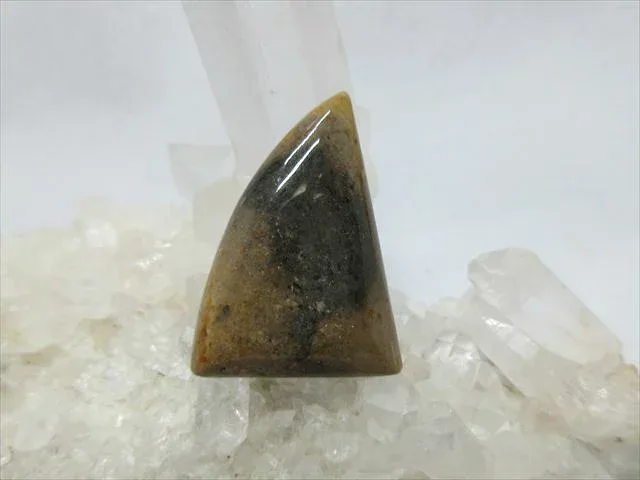 天然石ルース カボション ウッドジャスパー