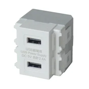 ELPA 埋込USB給電用コンセント R3701(E)【代引不可】