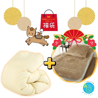 羽毛布団 寝具三点セット福袋 羽毛布団+掛けカバー+足ポケット付き敷パッド 福袋 匂わなダウン93% 羽毛掛け布団 掛け布団 羽毛布団シングル 羽毛ふとん かけ布団 掛布団 軽い 暖かい バイオアップ加工 通年
