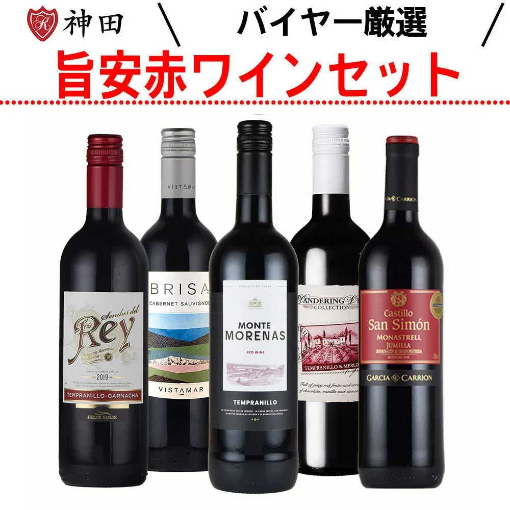 ワインセット 赤ワインセット 厳選 5本セット チリ スペイン お中元 ワイン 飲み比べ デイリーワイン wine set