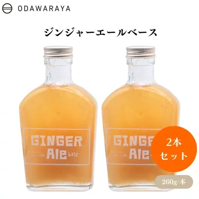 ジンジャーエールベース 260g x2本 国産生姜 爽やか 大人向け 炭酸水 お湯 冷温両用