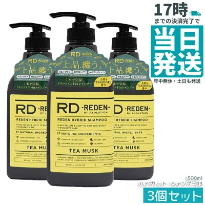 【3本セット】リデン ハイブリット・シャンプー R3 ティームスク 本体 500ml REDEN 男性用 オールインワンシャンプー スカルプケア 頭皮臭ケア リンスインシャンプー いい香り すっきり洗い上がり さっぱり感持続 正規品 送料無料