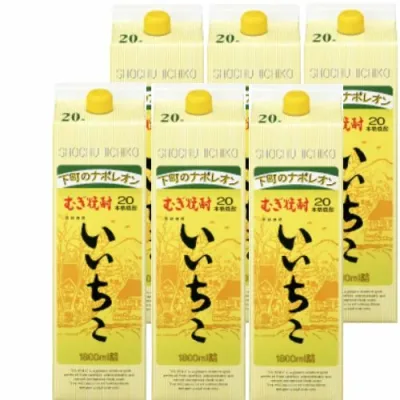 1ケース販売 乙20゜いいちこ パック(麦) 1800ml 1.8L 6本単位 父親 誕生日 プレゼント 父の日 お中元 夏ギフト 暑中見舞い