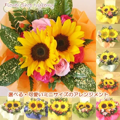 ≪送料&クール便代金込み≫アイビーベリーのお試しアレンジ(花かご)※お急ぎ対応はお休み中※