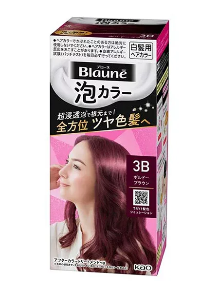 ★まとめ買い★ 花王 ブローネ泡カラー 3B ボルドーブラウン 108ml ×24個【イージャパンモール】