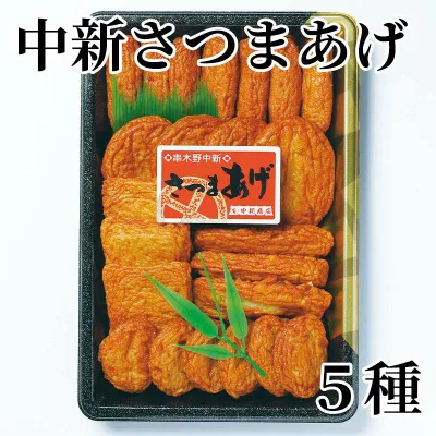 Chushin Satsumaage 5 types Shipping included Gift Present Gift Order Souvenir (300 yen off coupon distributed by writing a review)