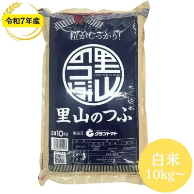 令和7年産 福島県産里山のつぶ 白米 長期保存 脱酸素剤入り 送料無料 10kg 30kg 米 お米 白米 コメ こめ 白米 10kg 白米 30kg