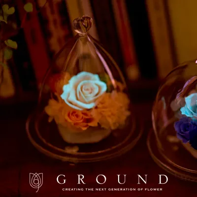 プリザーブドフラワー ギフト 誕生日 あす楽 祝電 電報 結婚式 おしゃれ 両親 贈呈品 還暦 古希 喜寿 傘寿 米寿 卒寿 お祝い 還暦祝い 古希祝い 喜寿祝い 米寿祝い 77歳 80 歳 退職 退職祝い 結婚祝い 結婚記念日 プレゼント 花 母 女性 男性 上司 かわいい 妻 ガラスドーム
