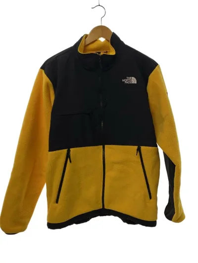 【中古】THE NORTH FACE◆DENALI JACKET_デナリジャケット/L/ポリエステル【メンズウェア】