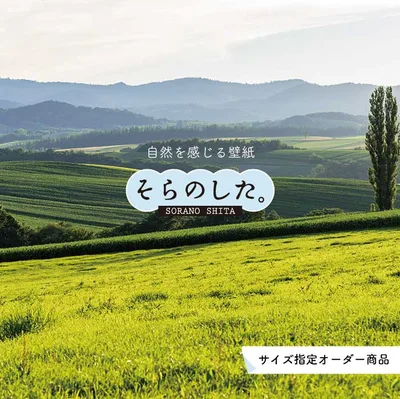 【オーダー壁紙】 壁紙 草原 写真 おしゃれ 自然 グリーン 丘 原っぱ 空 雲 開放的 貼りやすい デザイン 防カビ 日本製 国産 リメイク 模様替え 店 天井 部屋 寝室 キッチン リビング トイレ 風景 景色 かべがみはるこ そらのした。