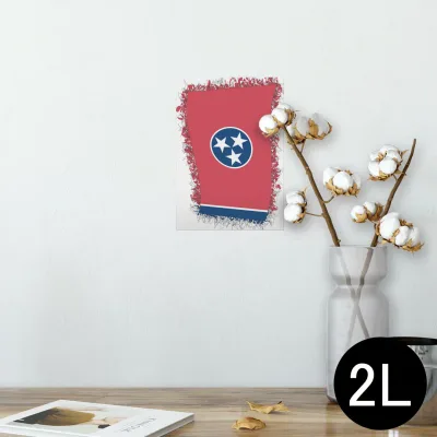 ポスター ウォールステッカー シール式ステッカー 飾り 127×178mm 2L 写真 フォト 壁 インテリア おしゃれ 剥がせる wall sticker poster 011687 星 赤 青
