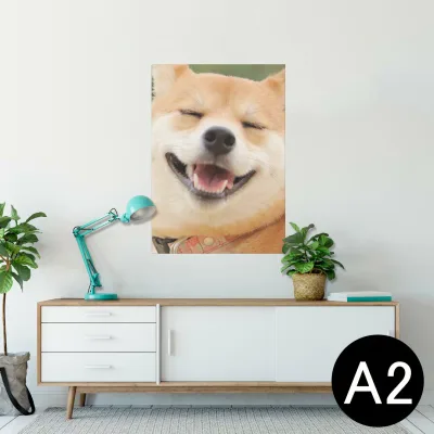ポスター ウォールステッカー シール式ステッカー 飾り 420×594mm A2 写真 フォト 壁 インテリア おしゃれ 剥がせる wall sticker poster 000926 犬 柴犬