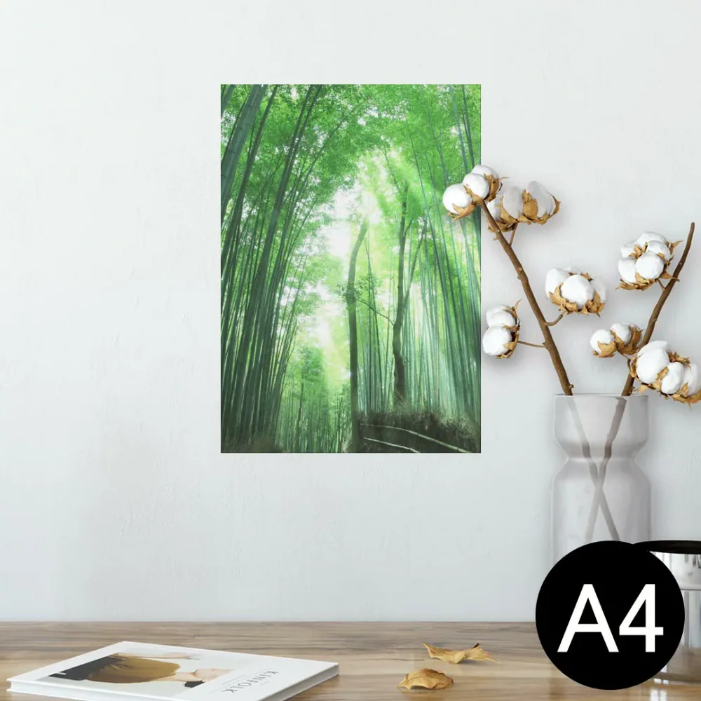 ポスター ウォールステッカー シール式ステッカー 飾り 210×297mm A4 写真 フォト 壁 インテリア おしゃれ 剥がせる wall sticker poster 004996 景色 竹林 写真