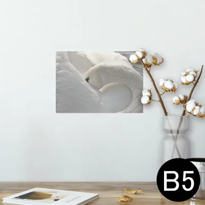 ポスター ウォールステッカー シール式ステッカー 飾り 182×257mm B5 写真 フォト 壁 インテリア おしゃれ 剥がせる wall sticker poster 023866 白鳥 動物