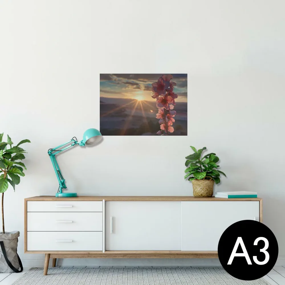 ポスター ウォールステッカー シール式ステッカー 飾り 297×420mm A3 写真 フォト 壁 インテリア おしゃれ 剥がせる wall sticker poster 023363 花 フラワー 景色 写真