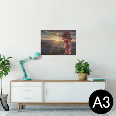 ポスター ウォールステッカー シール式ステッカー 飾り 297×420mm A3 写真 フォト 壁 インテリア おしゃれ 剥がせる wall sticker poster 023363 花 フラワー 景色 写真