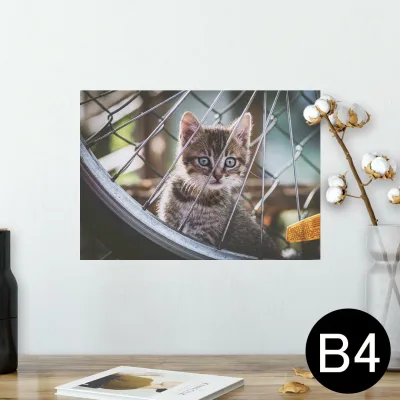 ポスター ウォールステッカー シール式ステッカー 飾り 257×364mm B4 写真 フォト 壁 インテリア おしゃれ 剥がせる wall sticker poster 025949 動物 猫 ネコ 車輪