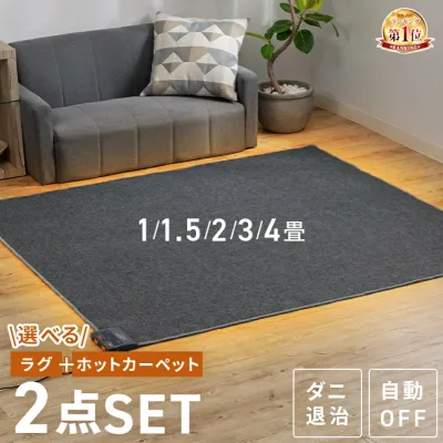 ★楽天1位★ ホットカーペット 2畳 1畳 1.5畳 3畳 4畳 ラグ セット 省エネ 本体 TEKNOS 電気カーペット コンパクト ホットマット 電気マット 省エネ 正方形 切り忘れ自動OFF ダニ退治機能 簡単 温度調節 コンパクト収納 グレー【B】