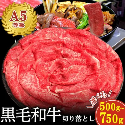 【グルメ大賞受賞 折箱入り】 黒毛和牛 A5等級 500g 750g すき焼き肉 ギフト 誕生日 大判切り落とし 贈り物 国産和牛 高級 送料無料 国産 国産牛 即日 牛肉 しゃぶしゃぶ 鍋 焼肉 焼き肉 和牛 A5 大判 鉄板焼 お歳暮 プレゼント スライス 切落とし 贈答 熨斗 冬ギフト
