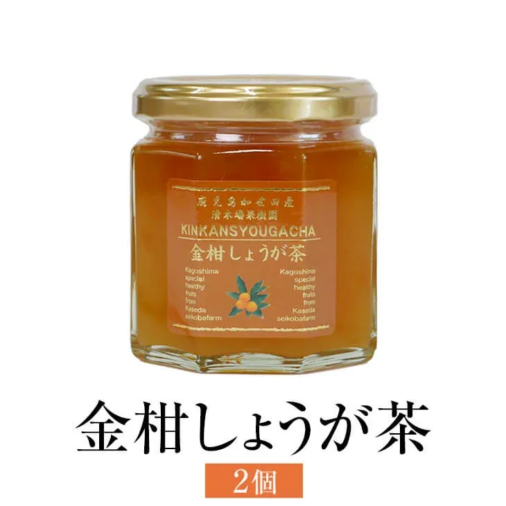 金柑しょうが茶 190g 2個入 金柑 フルーツ お茶 使い切り 国産 九州産 鹿児島産 送料無料 ギフト箱なし 清木場果樹園 タビグルメ
