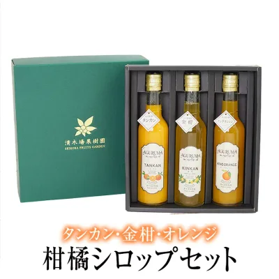 柑橘シロップセット 3本入 詰合せ ギフト ご贈答 タンカン きんかん オレンジ リキュール フルーツ 国産 九州産 鹿児島産 送料無料 清木場果樹園 タビグルメ