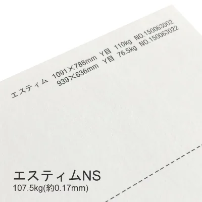 10月最大800円OFFクーポン 【特殊紙】エスティムNS 107.5kg(0.17mm) A3 100枚【インクジェット対応 プリンター用紙】