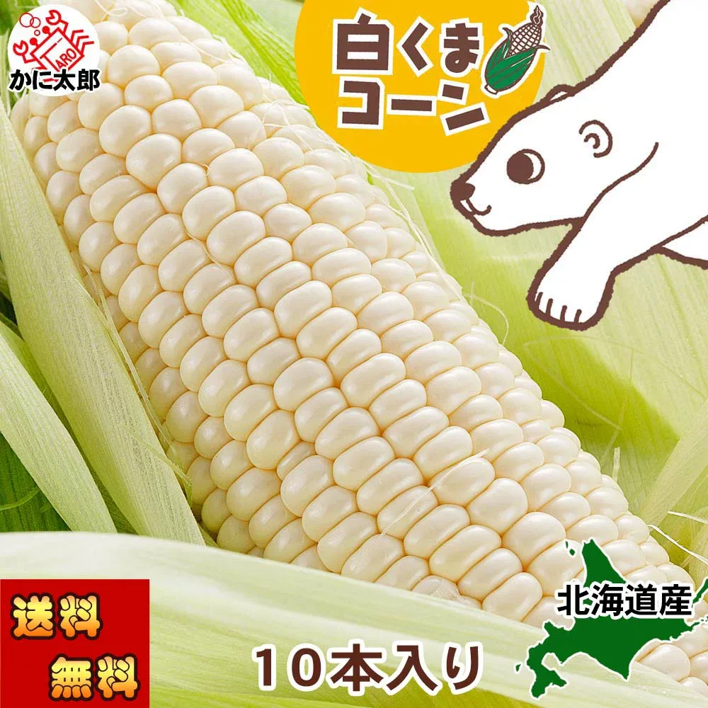 予約商品 送料無料 白い とうもろこし 旭山動物園 白くまコーン 6本/10本入り 北海道産 トウモロコシ スイートコーン ピュアホワイト ホワイトレディー 朝もぎ ホワイトコーン 朝採り 野菜 産地直送 とうきび なんば 北海道 コーン グルメ お取り寄せ 通販 生で食べられる