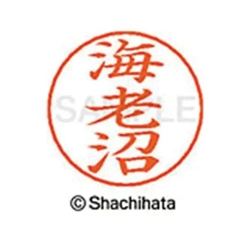 シヤチハタ ネームペン用ネーム シルバー 既製 海老沼【取寄商品】