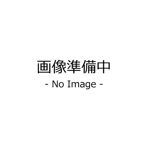 【送料別途】【直送品】サカエ SAKAE サカエオリジナルキャスター SSTC-75EM(S-1)