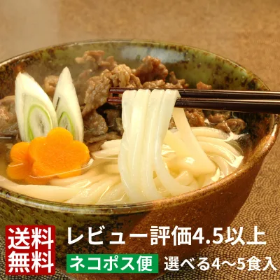 【 送料無料 】【ネコポス】 讃岐うどん を メール便 で さぬきうどん ツルっと亀〜る | さぬき うどん 半生 讃岐 お取り寄せ お取り寄せグルメ ギフト 香川 うどんセット セット 半生うどん