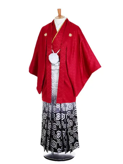 【レンタル】【紋付袴 赤系×亀甲】男着物 袴 レンタル 紋付フルセット レンタル紋付 着物レンタル 貸衣装 結婚式 披露宴 和婚 新郎 卒業式 パーティー 男 和服 安い 往復送料無料 メンズ mt88