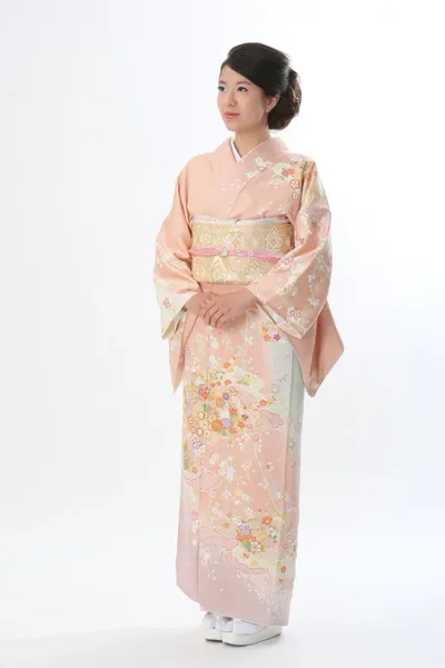 【レンタル】 訪問着 レンタル フルセット 七五三 卒園式 卒業式 入学式 結婚式 披露宴 参列 お茶会 お宮参り ピンク 古典柄 雲取り 品番:h-74