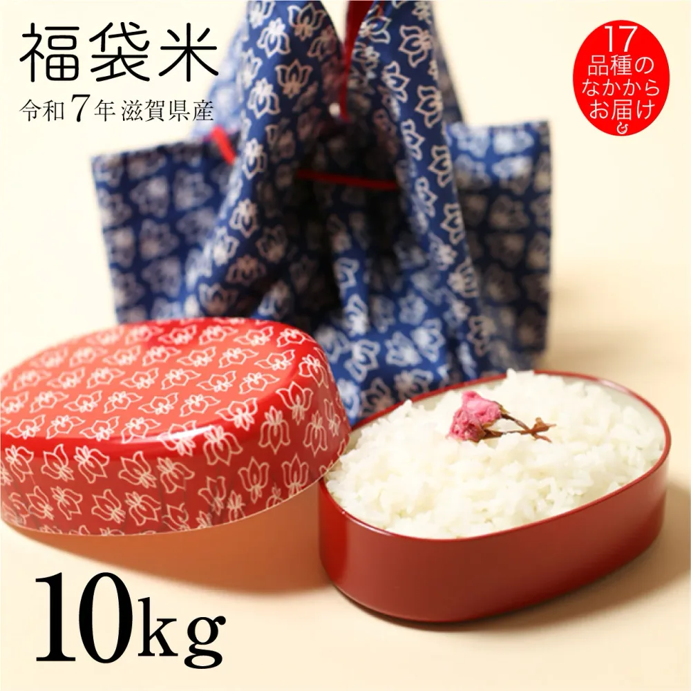 福袋米 10kg 5kg×2袋 滋賀県産 令和7年 1品種でのお届け 80