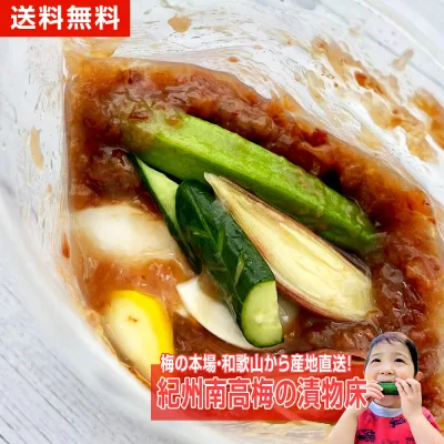 漬物 梅干し つぶれ梅 ねり梅 浅漬けの素 送料無料 紀州南高梅の漬物床 ぬか床 紀州南高梅 梅 梅どこ あっさり漬 梅漬け 簡単 300g 野菜 夏野菜 健康食品 保存食品 時短 腸活 レシピ
