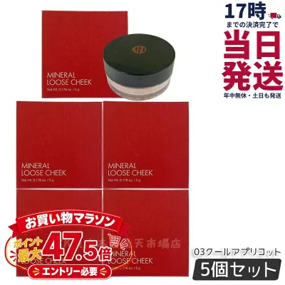 【5個セット】江原道 ミネラル ルース チーク 5g 3 クールアプリコット パウダー ピンク コーラル 血色 コウゲンドウ Koh Gen Do こうげんどう 江源道 チーク 国内正規品 送料無料