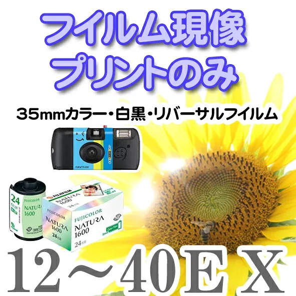 【メール便に限り送料無料:追跡可能メール便は対象外です】カラー・白黒・リバーサルのフイルム現像(フィルム現像・ネガ現像)【現像・プリント・インデックス付・データは無し】使い捨てカメラ 【ハーフサイズで撮影された場合は、400円の追加料金がかかります】